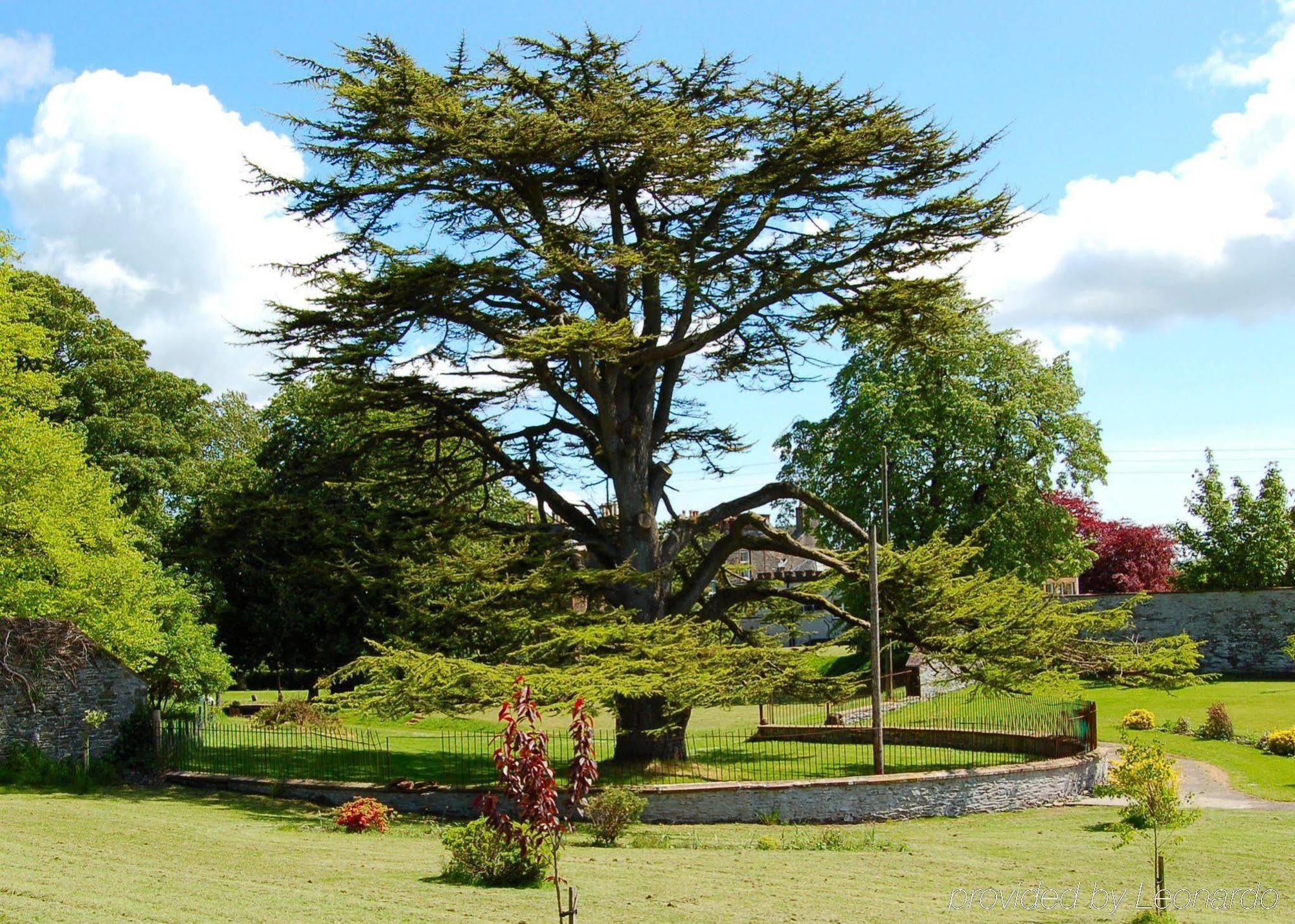 The Urr Valley Country House Hotel Castle Douglas Eksteriør bilde